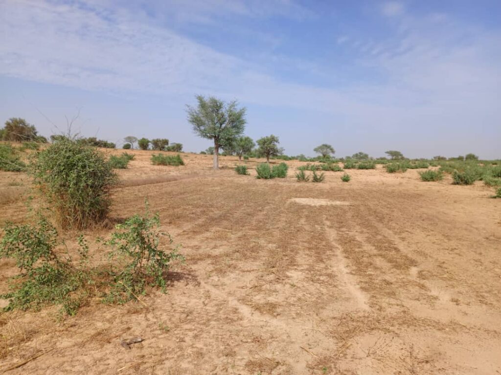 Terrain Agricole de 3,71 Hectares vers Sagatta – Kébémer