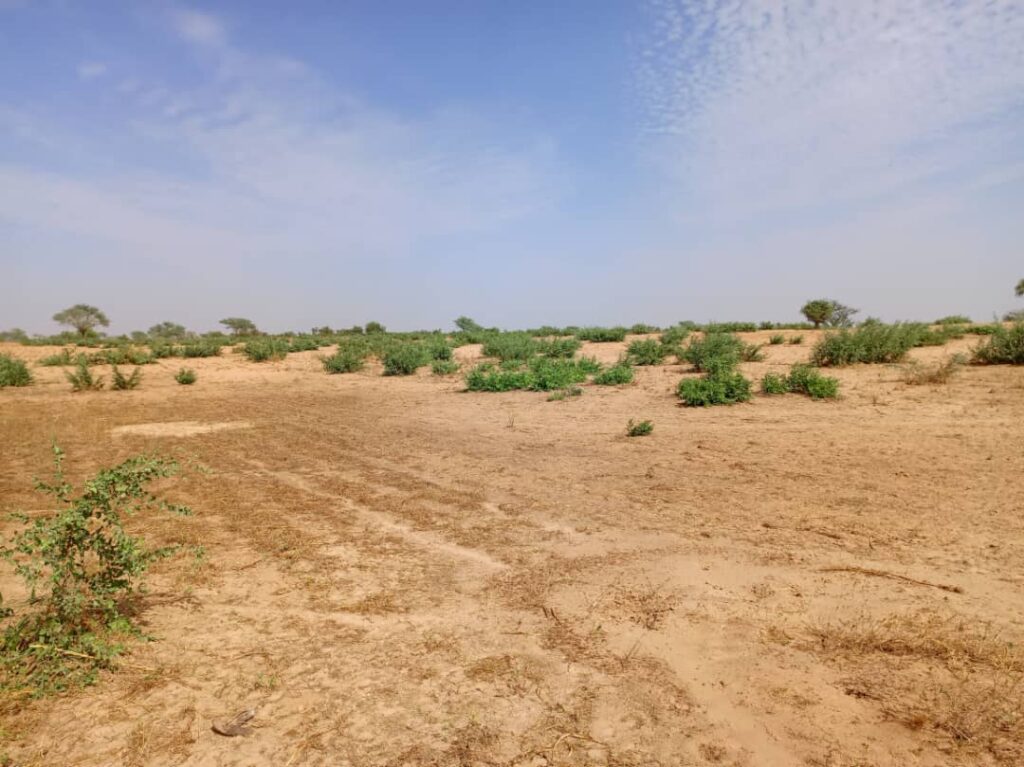 Terrain Agricole de 3,71 Hectares vers Sagatta – Kébémer