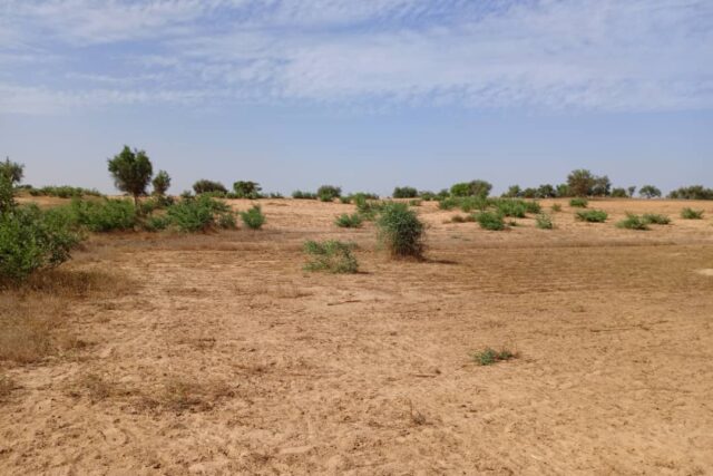 Terrain Agricole de 3,71 Hectares vers Sagatta – Kébémer