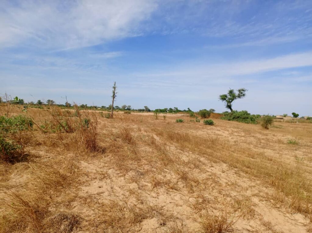 Terrain Agricole de 2,01 Hectares vers Notto Diobass – Thiès