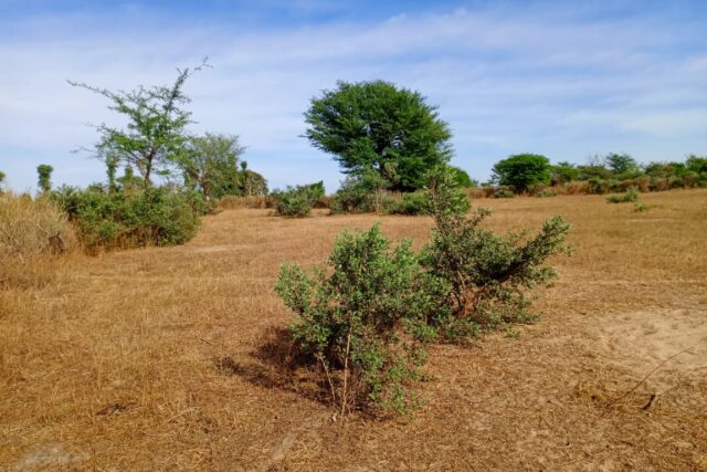 Terrain Industriel de 6654 M² en bordure de piste latérite vers Tassette – Thiès