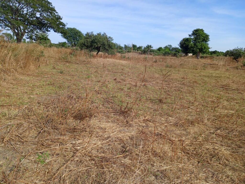 Terrain Industriel de 6654 M² en bordure de piste latérite vers Tassette – Thiès