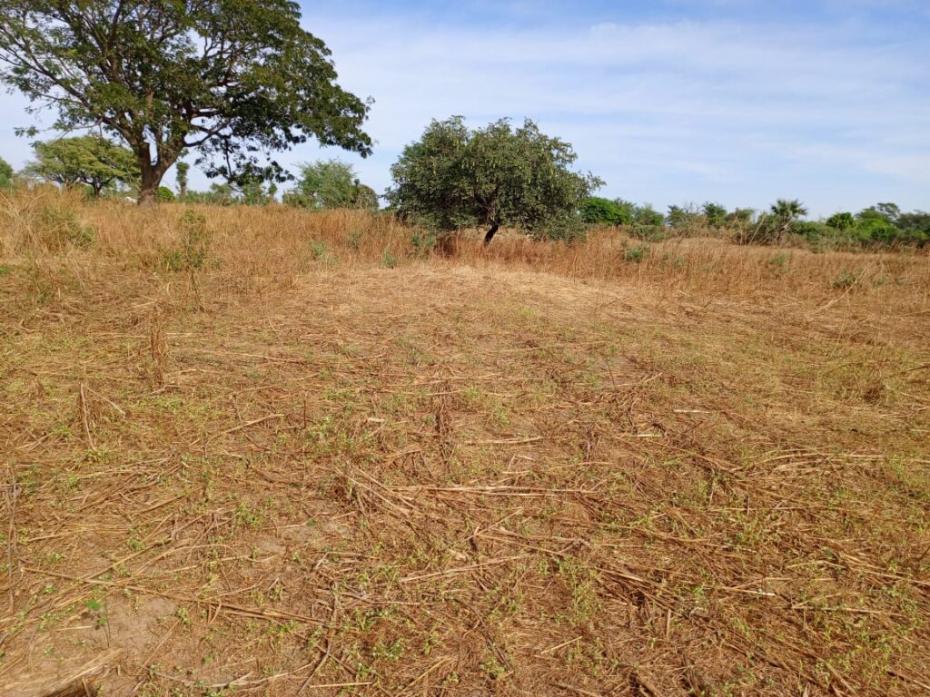 Terrain Industriel de 6654 M² en bordure de piste latérite vers Tassette – Thiès