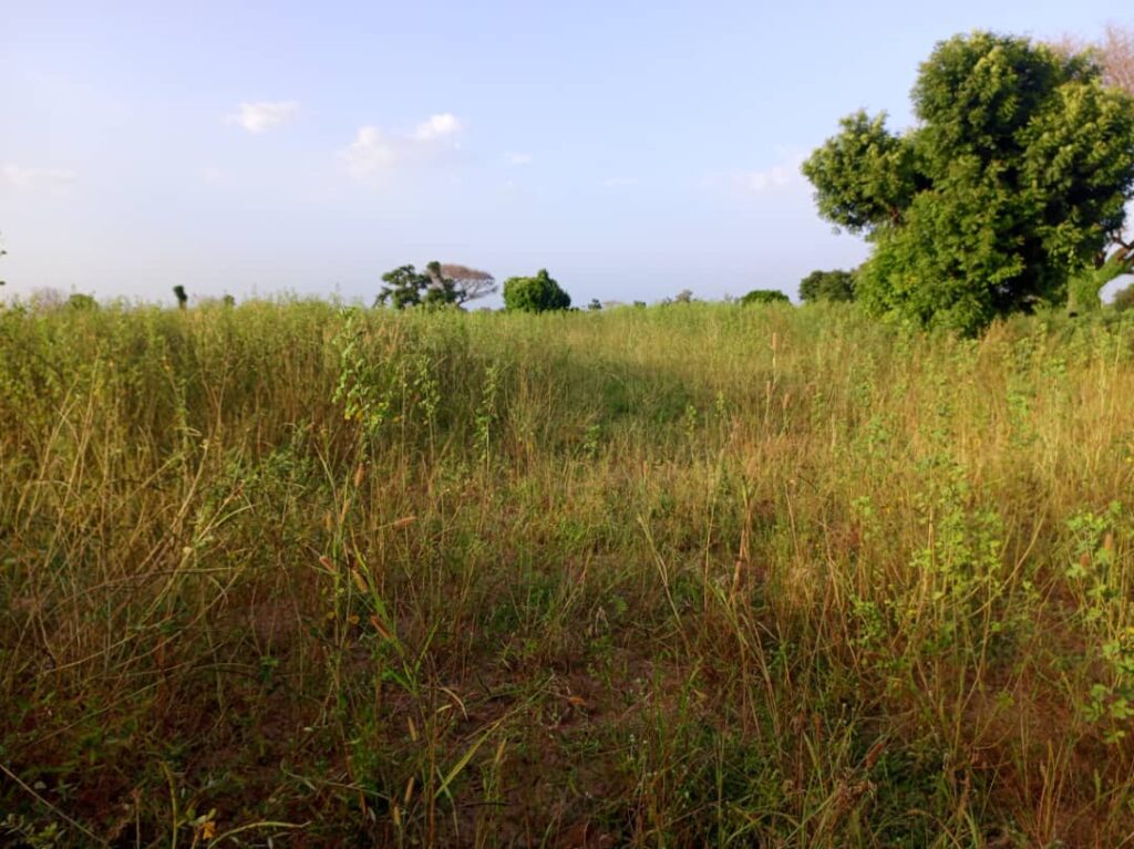 Terrain de 8 460 m² vers Tassette – Thiès