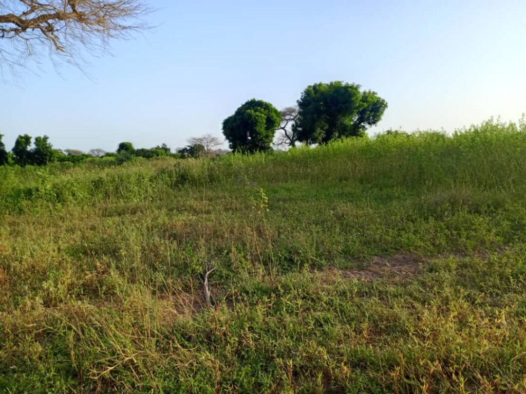 Terrain de 8 460 m² vers Tassette – Thiès