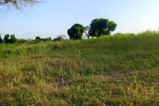 Terrain de 8 460 m² vers Tassette – Thiès