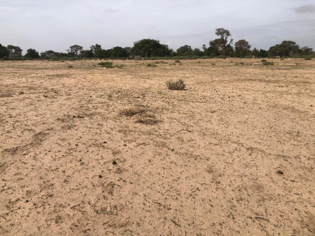 Terrain Agricole de 3 Hectares vers Tassette – Thiès