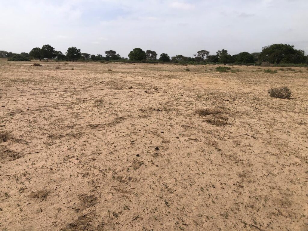 Terrain Agricole de 3 Hectares vers Tassette – Thiès