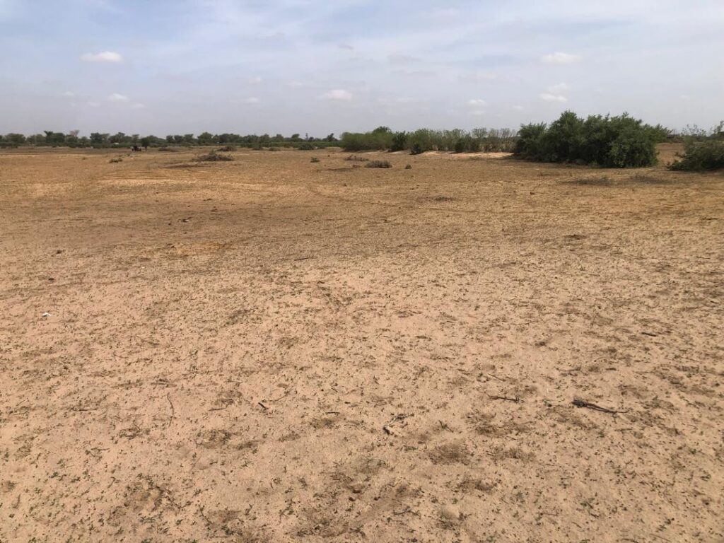 Terrain Agricole de 3 Hectares vers Tassette – Thiès