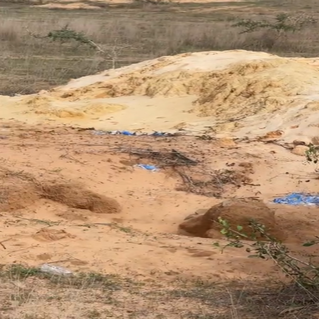 Verger de 5,78 Hectares vers Darou khoudoss – Tivaouane