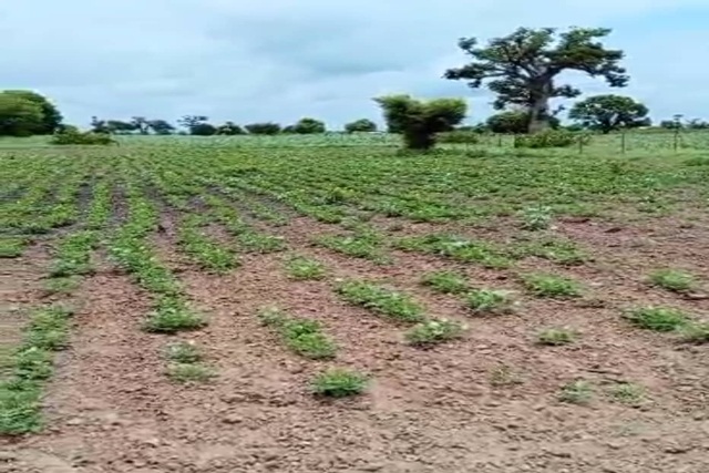 Terrain Agricole de 1Hectare vers Sandiara – Thiès