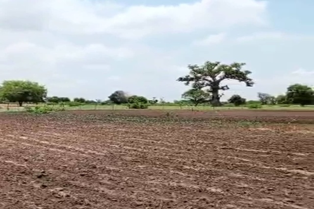 Terrain Agricole de 1Hectare vers Sandiara – Thiès