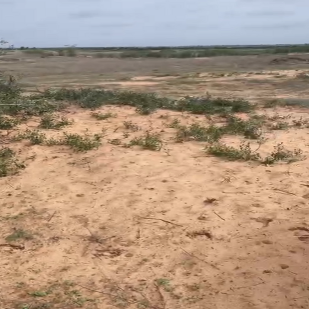 Verger de 5,78 Hectares vers Darou khoudoss – Tivaouane