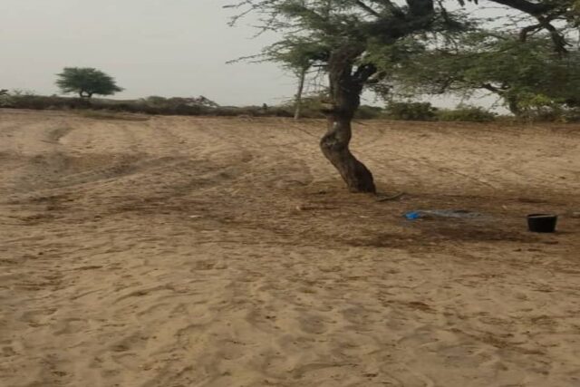 Verger de 2.5 Hectares vers Mboro – Tivaouane