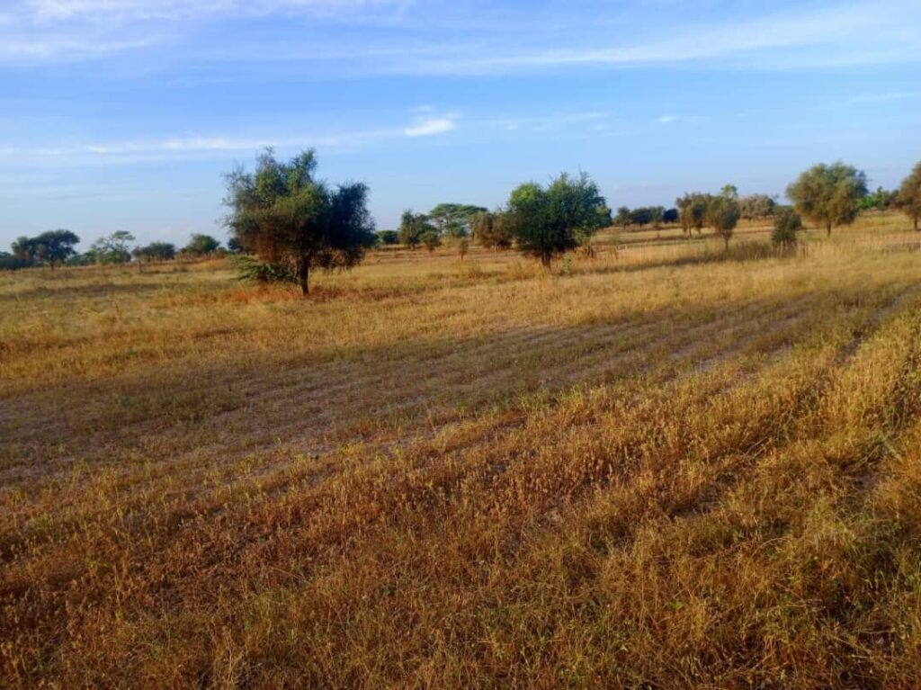 Terrain Agricole de 4,01 Hectares vers Thiolom Fall – Kébémer