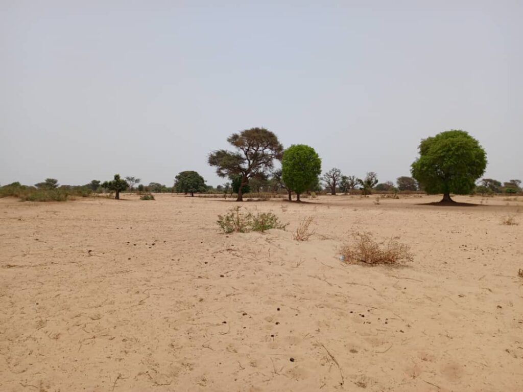 Terrain Agricole de 1,58 Hectare vers Tassette – Thiès