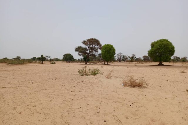 Terrain Agricole de 1,58 Hectare vers Tassette – Thiès