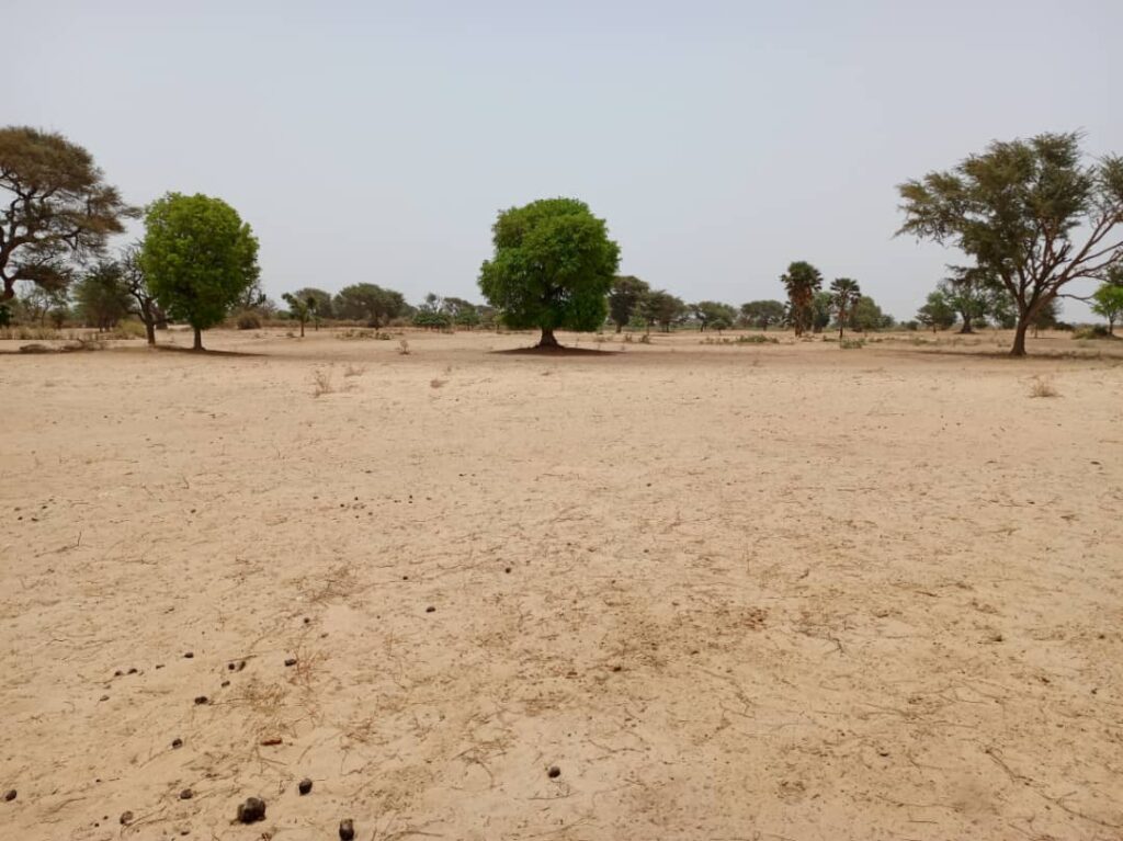 Terrain Agricole de 1,58 Hectare vers Tassette – Thiès