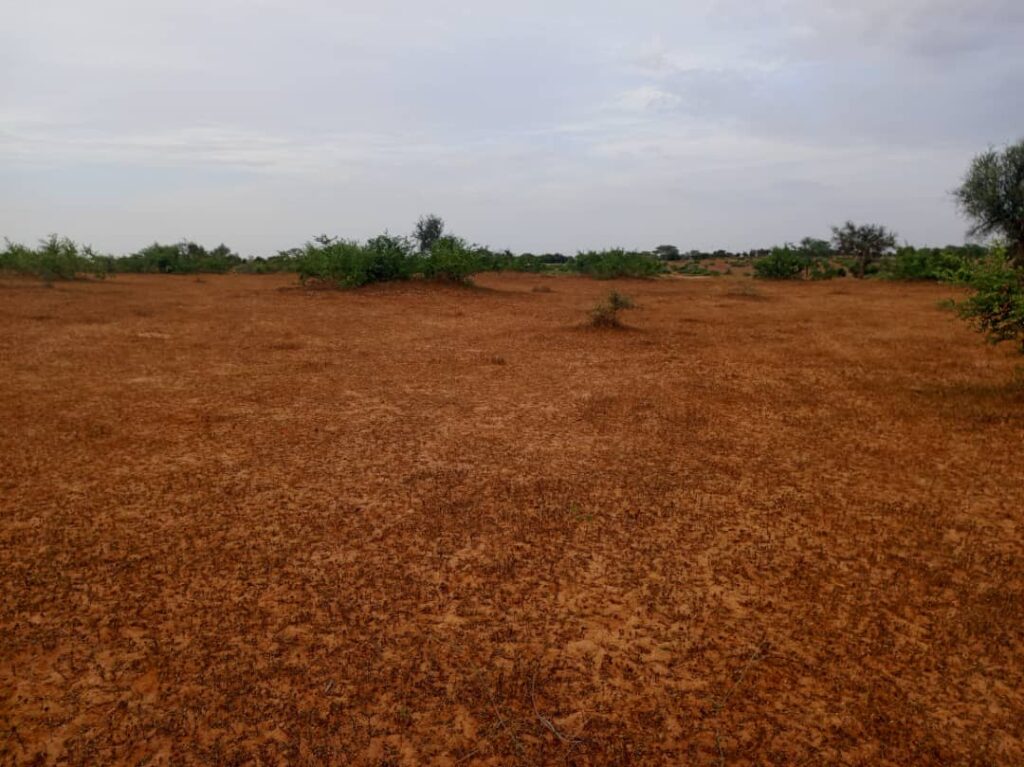Terrain Agricole de 5,87 Hectares vers Sagatta – Kébémer