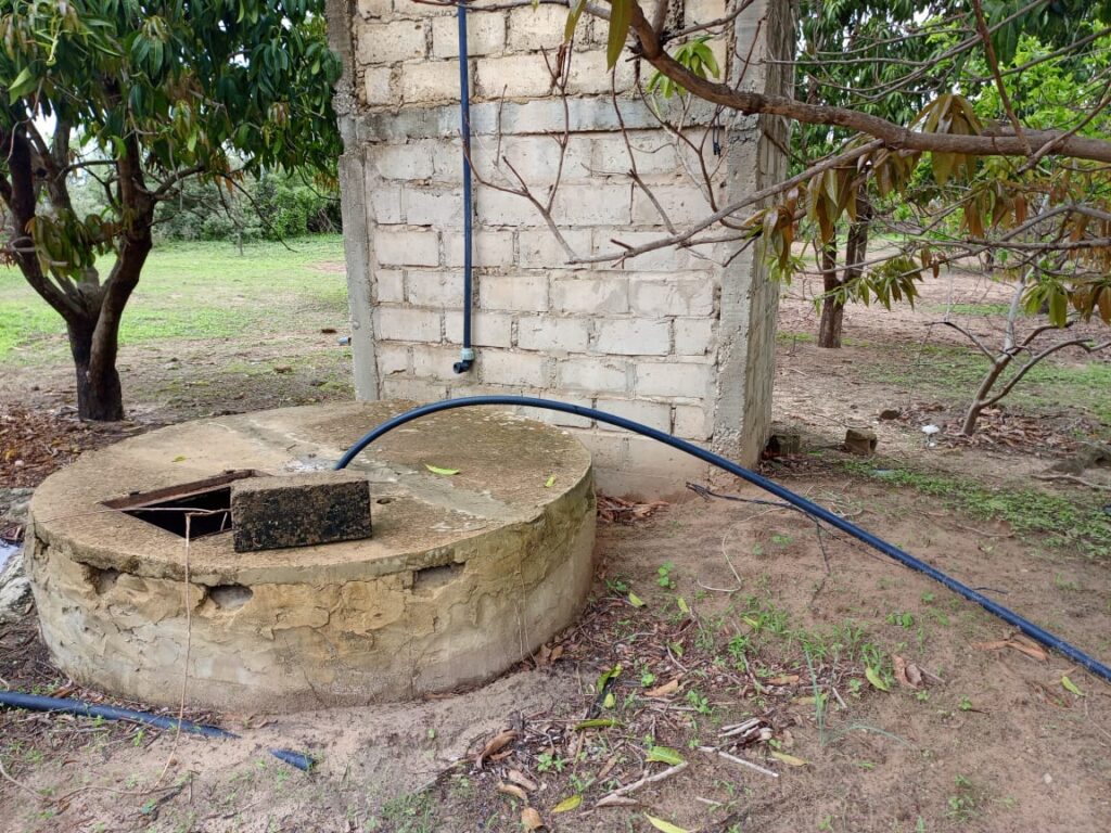 Verger de 2,62 Hectares vers Notto Diobass – Thiès