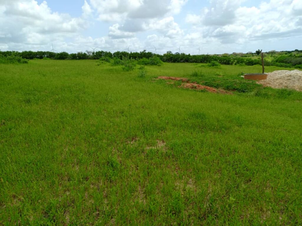 Verger de 2,03 Hectares vers Darou Khoudoss – Tivaouane