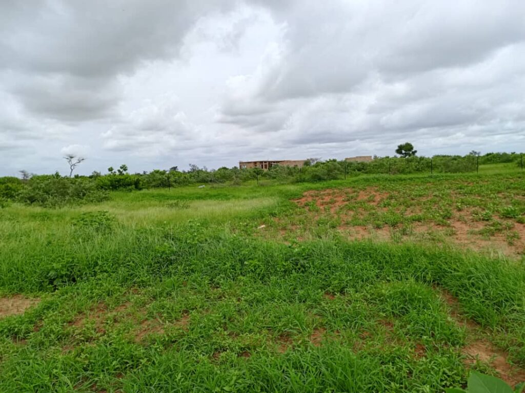 Verger de 1,03 Hectare vers Notto Diobass – Thiès