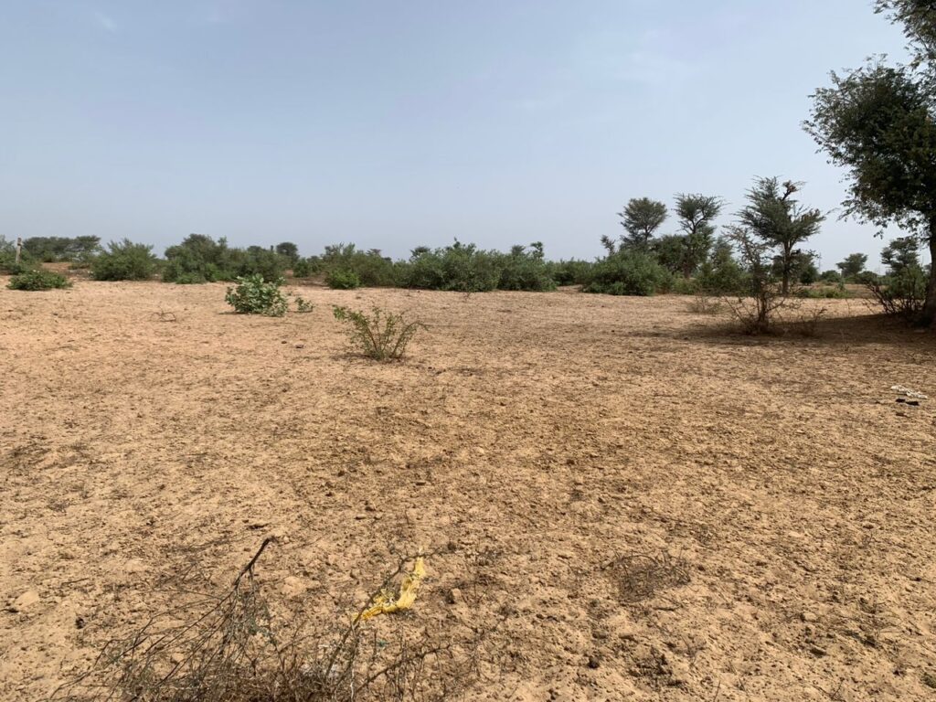 Verger de 2,27 Hectares vers Notto Diobass – Thiès