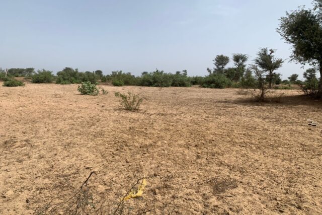 Verger de 2,27 Hectares vers Notto Diobass – Thiès