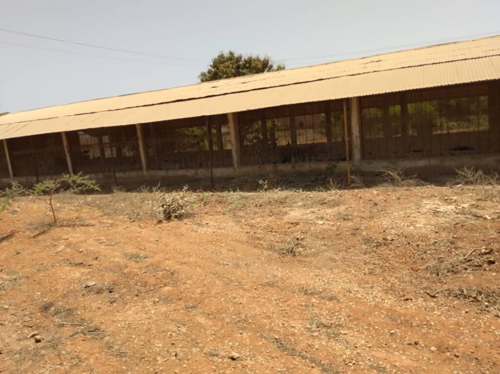 Ferme de 1,95 Hectare vers Keur Moussa – Thiès