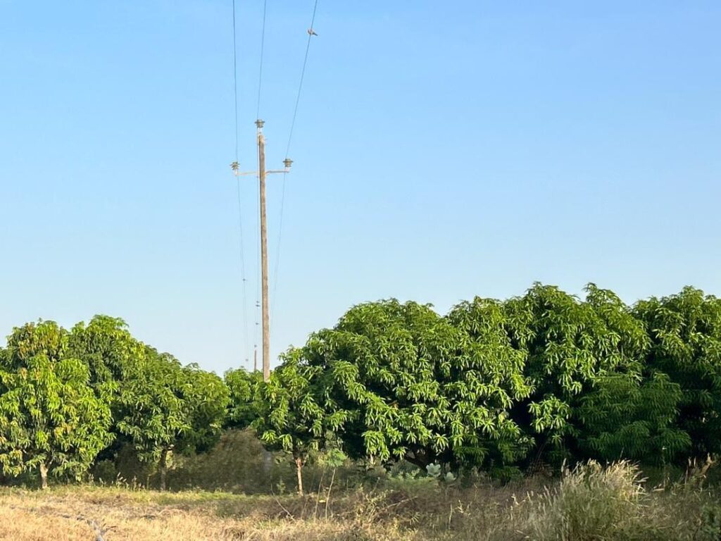 Verger de 7 Hectares vers Keur Moussa – Thiès