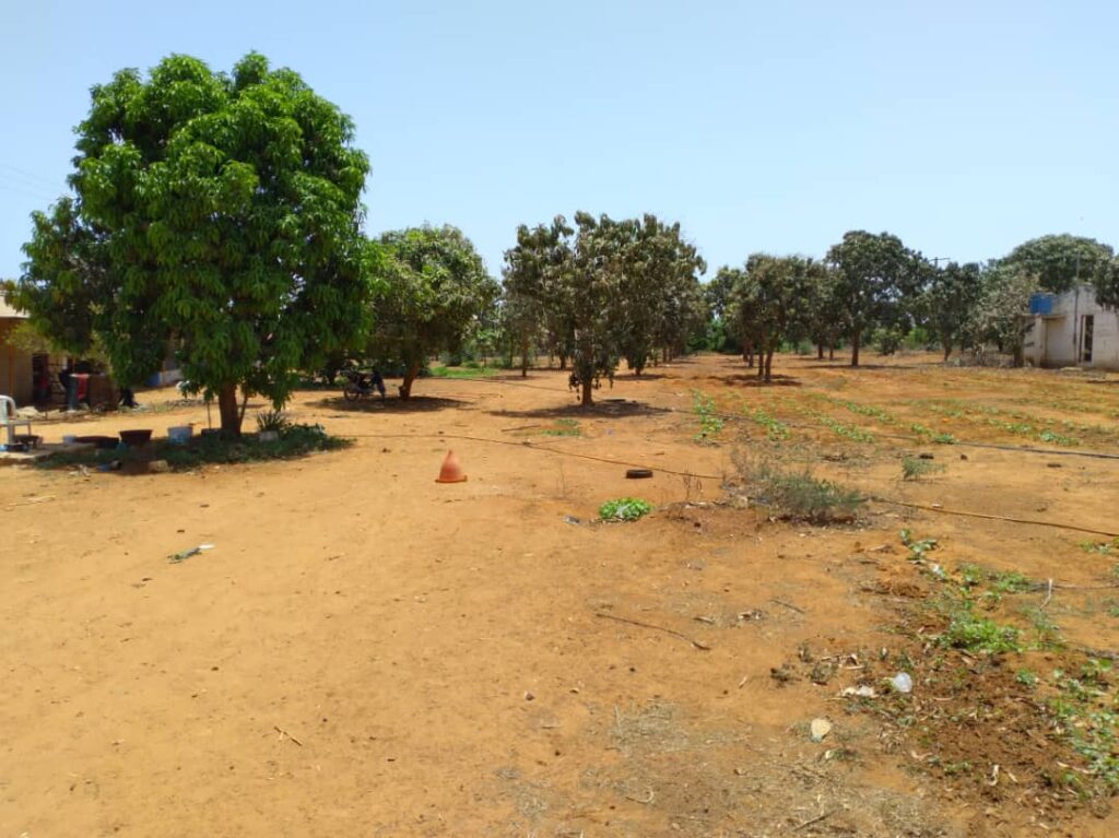 Ferme de 1,95 Hectare vers Keur Moussa – Thiès
