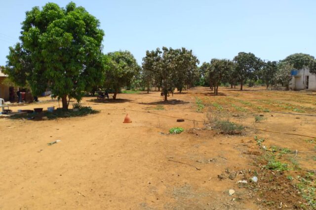 Ferme de 1,95 Hectare vers Keur Moussa – Thiès