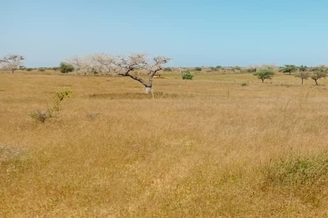 Terrain Agricole de 3 Hectares vers Léona – Louga