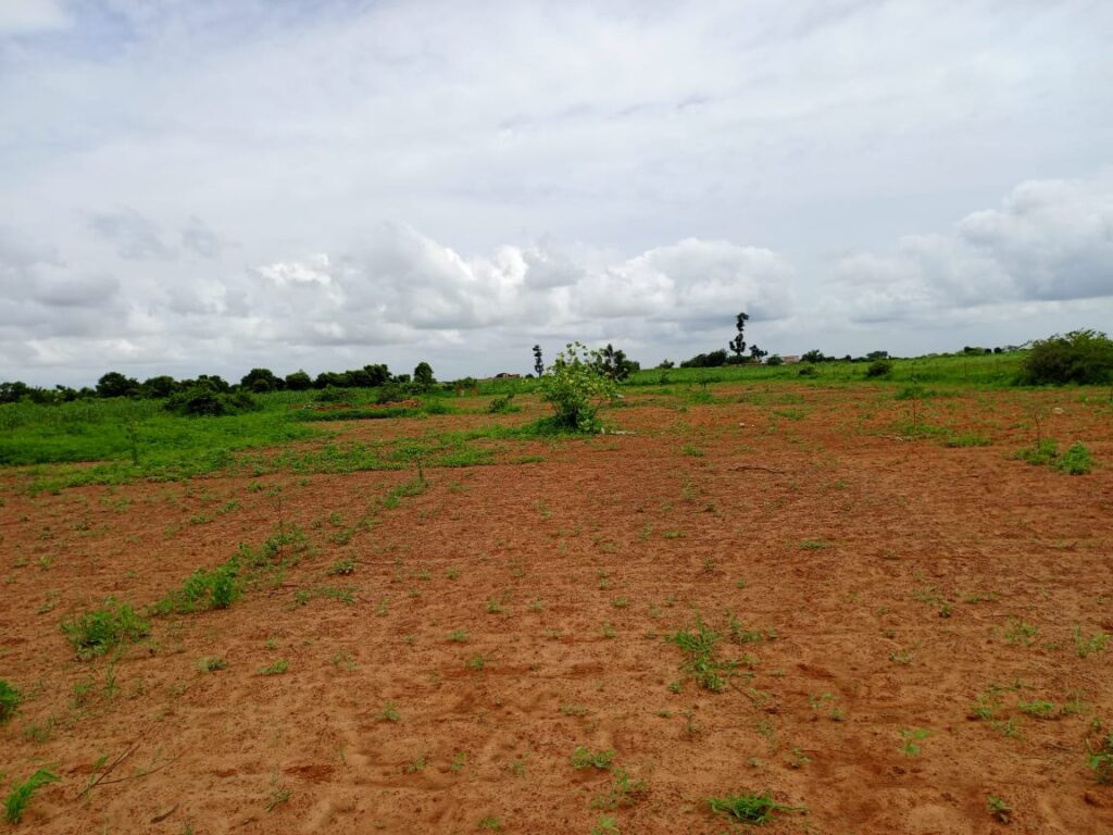 Verger de 6 797 m² vers Notto Diobass – Thiès