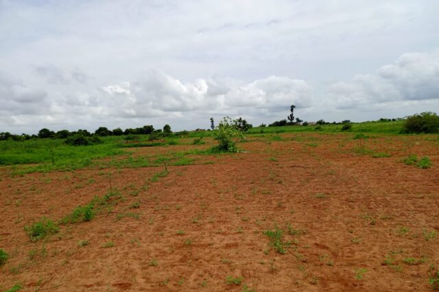 Verger de 6 797 m² vers Notto Diobass – Thiès