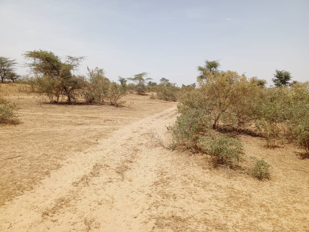 Terrain Agricole de 100 Hectares vers Koul – Tivaouane