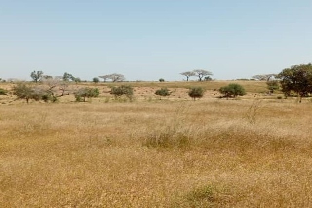 Terrain Agricole de 2 Hectares vers Léona – Louga