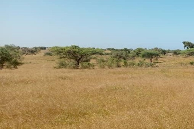 Terrain Agricole de 5 Hectares vers Léona – Louga