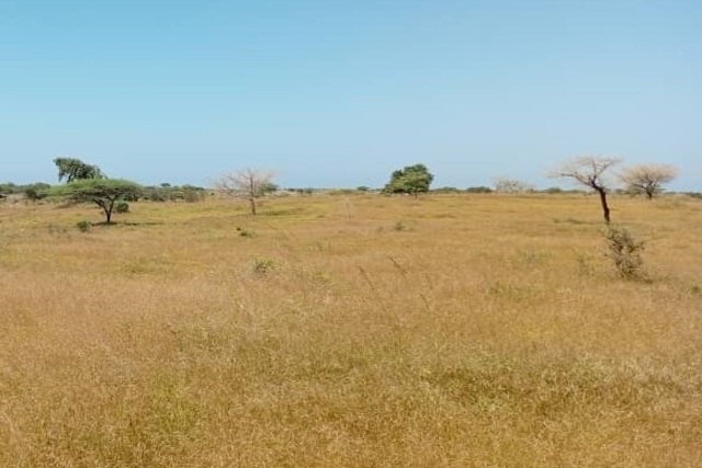 Terrain Agricole de 1,20 Hectare vers Notto Diobass – Thiès