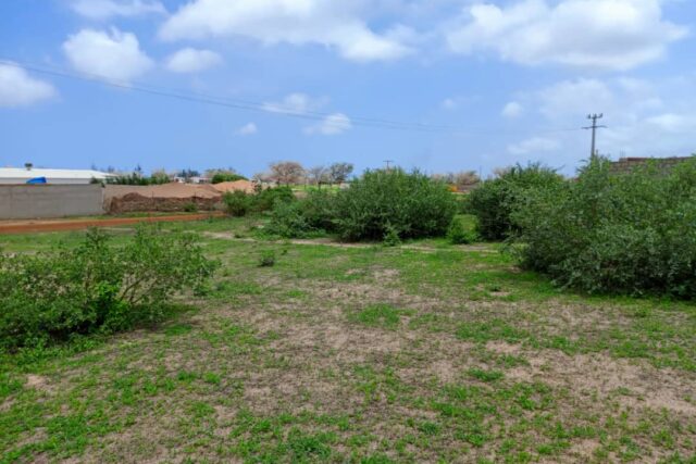 Terrain de 1,57 Hectare vers Keur Moussa