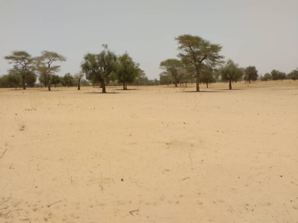 Terrain de 1,81 Hectare en bordure de route vers Baba Garage