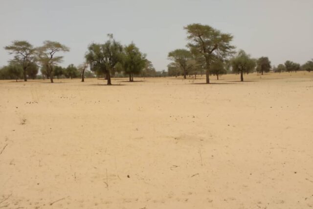 Terrain de 1,81 Hectare en bordure de route vers Baba Garage
