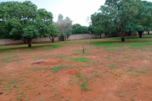 Terrain de 1,11 hectare en bail en bordure de route vers Keur Moussa – Pout