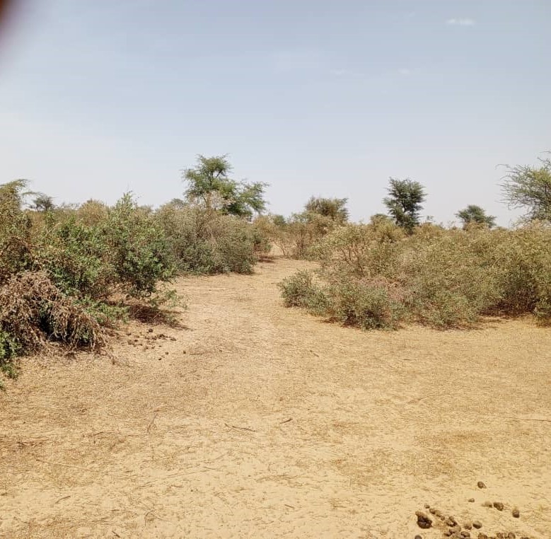 Terrain Agricole de 48 Hectares vers Koul – Tivaouane