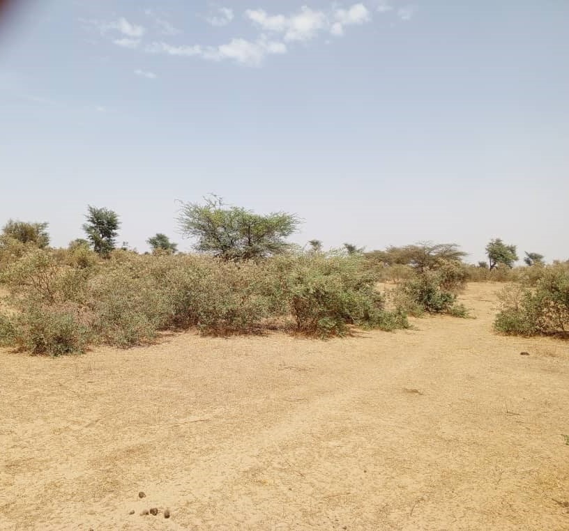 Terrain Agricole de 48 Hectares vers Koul – Tivaouane