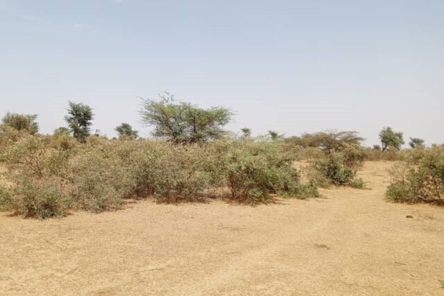 Terrain Agricole de 48 Hectares vers Koul – Tivaouane