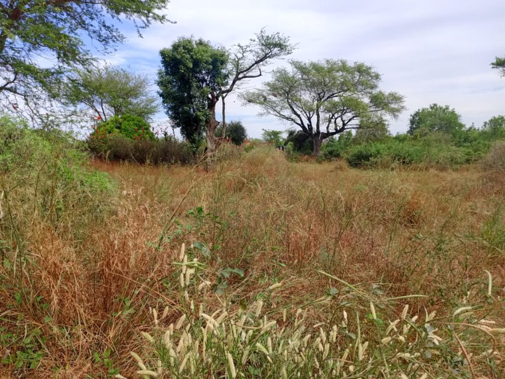 Terrain Agricole de 9 686 m² vers Tassette – Thiès