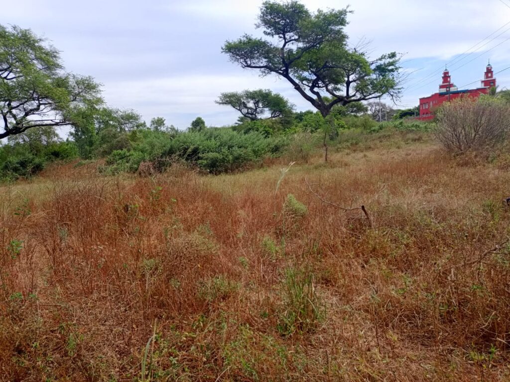 Terrain Agricole de 9 686 m² vers Tassette – Thiès