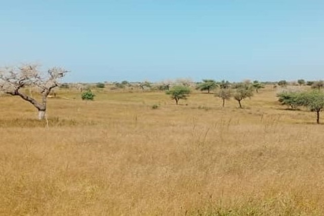 Terrain Agricole de 5 Hectares vers Léona – Louga