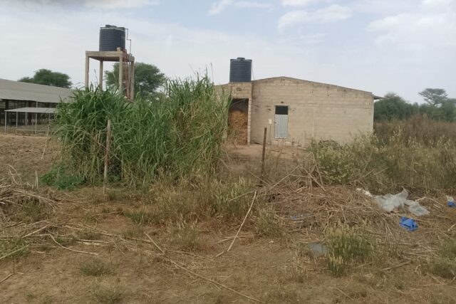 Exploitation Agricole de 1,04 Hectare vers Touba Toul – Thiès